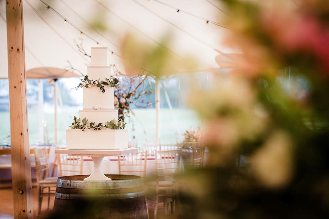 Image by <a class="text-p3" href="http://dominicwright.co.uk" target="_blank">Dominic Wright</a>.