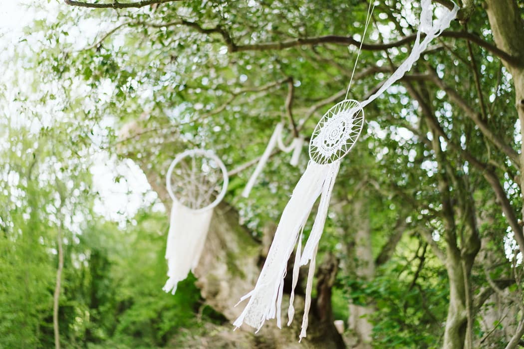 Image by <a class="text-p3" href="http://www.angelawardbrown.com" target="_blank">Angela Ward Brown Photography</a>.