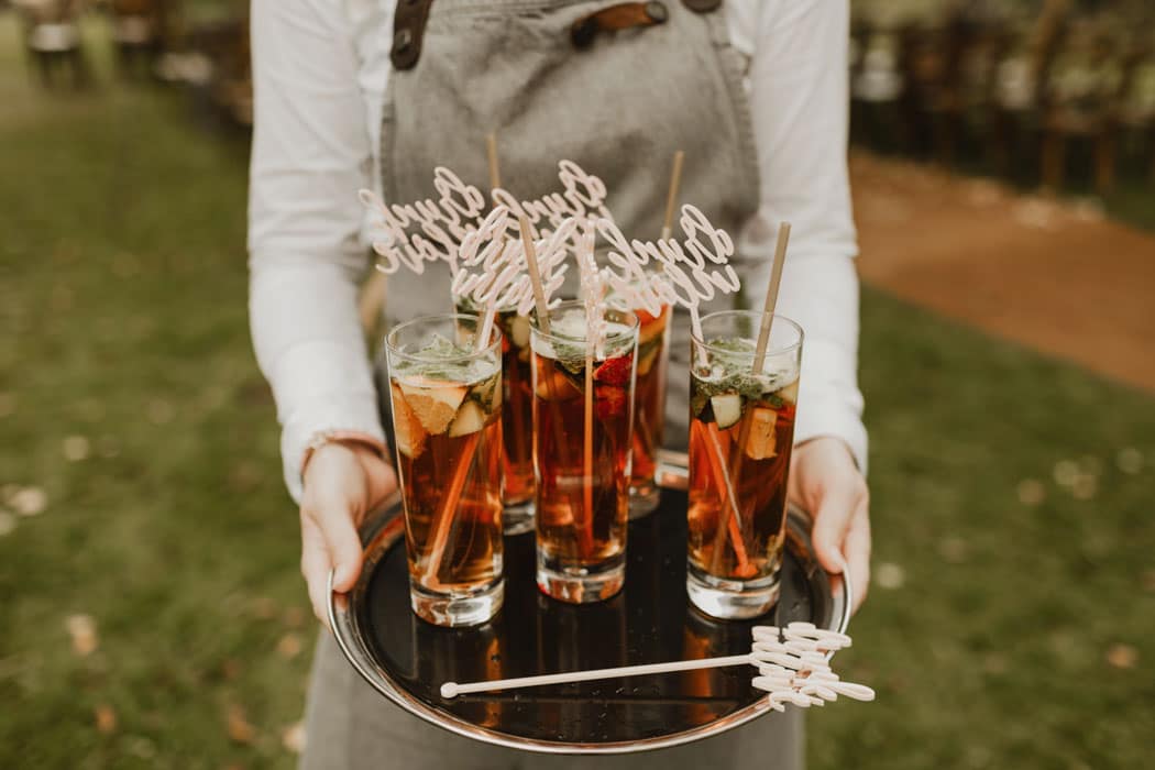 Image by <a class="text-p3" href="https://www.thecurries.co" target="_blank">The Curries</a>.