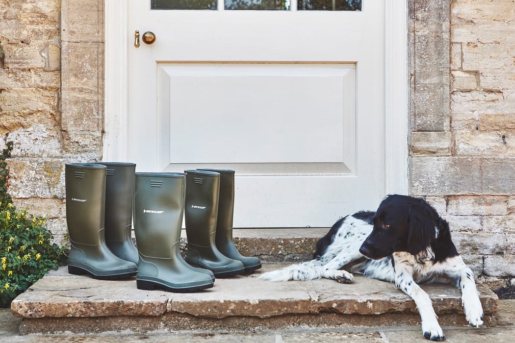 Image by <a class="text-p3" href="http://82mm.com" target="_blank">Malcolm Menzies</a>.