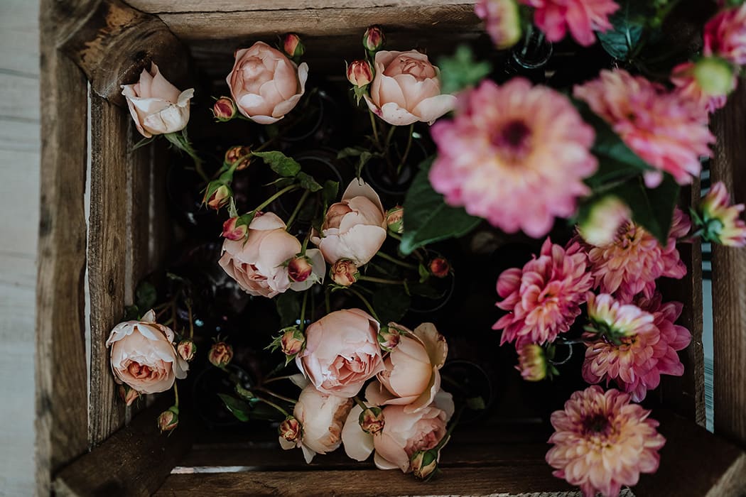 Image by <a class="text-p3" href="http://www.newforeststudio.com" target="_blank">New Forest Studio</a>.