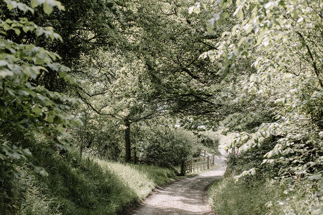 Image by <a class="text-p3" href="http://www.rebeccagoddardphotography.com" target="_blank">Rebecca Goddard Photography</a>.