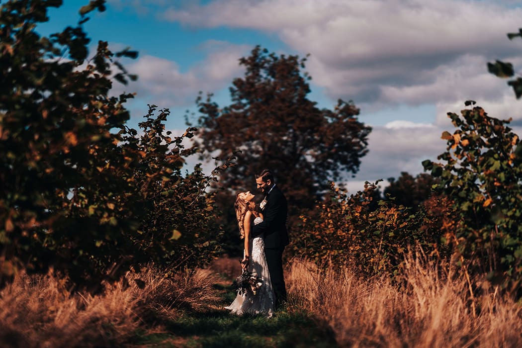 Image by <a class="text-p3" href="http://www.paulwf.co.uk" target="_blank">Paul Winch Furness</a>.