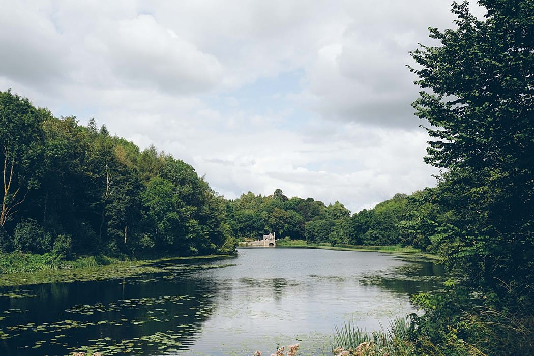 Image by <a class="text-p3" href="http://www.lloydwilliamsphotography.com" target="_blank">Lloyd Williams Photography</a>.