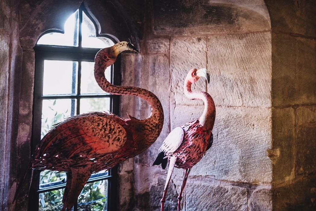 Image by <a class="text-p3" href="http://martamayphotography.co.uk" target="_blank">Marta May Photography</a>.