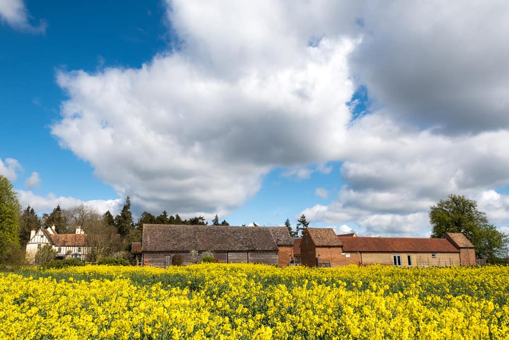 Image by <a class="text-p3" href="http://www.jinjabird.com" target="_blank">Jinjabird Photography</a>.