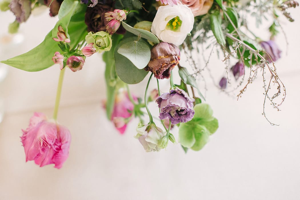 Image by <a class="text-p3" href="http://www.hannahduffy.com" target="_blank">Hannah Duffy Photography</a>.