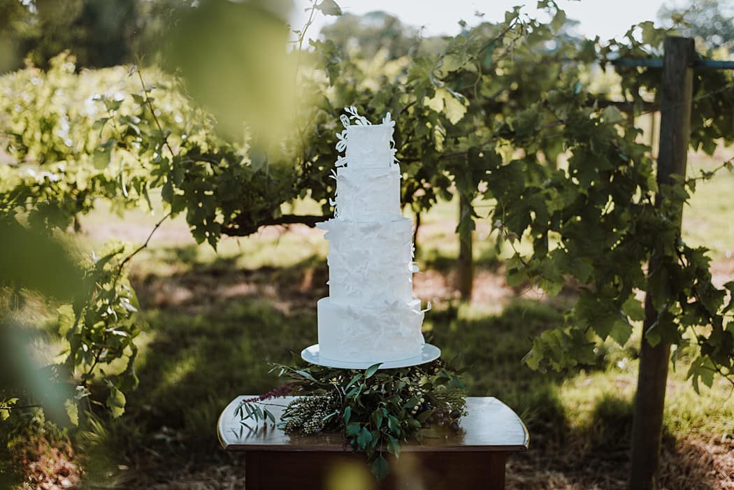 Image by <a class="text-p3" href="https://www.lauramarthaphotography.com" target="_blank">Laura Martha Photography</a>.