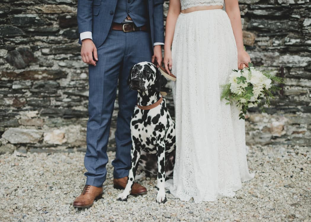 Image by <a class="text-p3" href="http://www.joshgooding.co.uk" target="_blank">Josh Gooding Photography</a>.