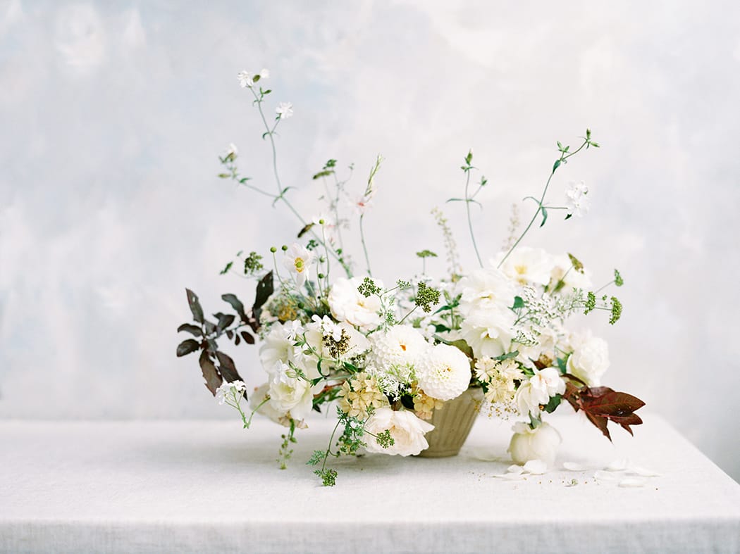 Image by <a class="text-p3" href="http://www.hannahduffy.com" target="_blank">Hannah Duffy Photography</a>.