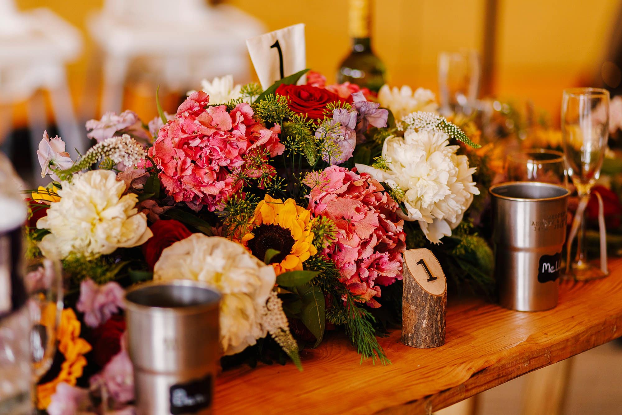 Image by <a class="text-p3" href="https://www.nadinevanbiljon.com" target="_blank">Nadine van Biljon Photography</a>.