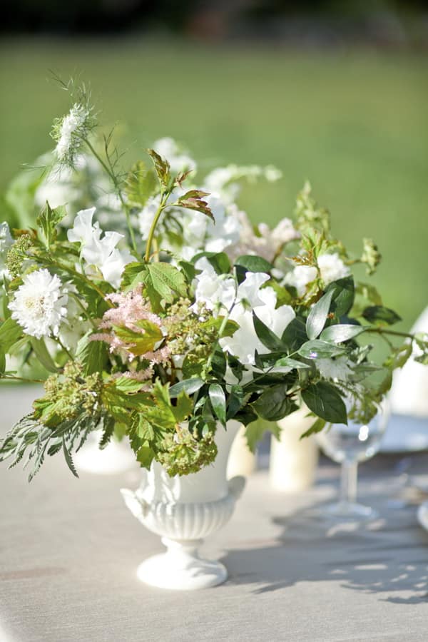 Image by <a class="text-p3" href="http://www.corettefauxphotography.co.uk" target="_blank">Corette Faux Photography</a>.