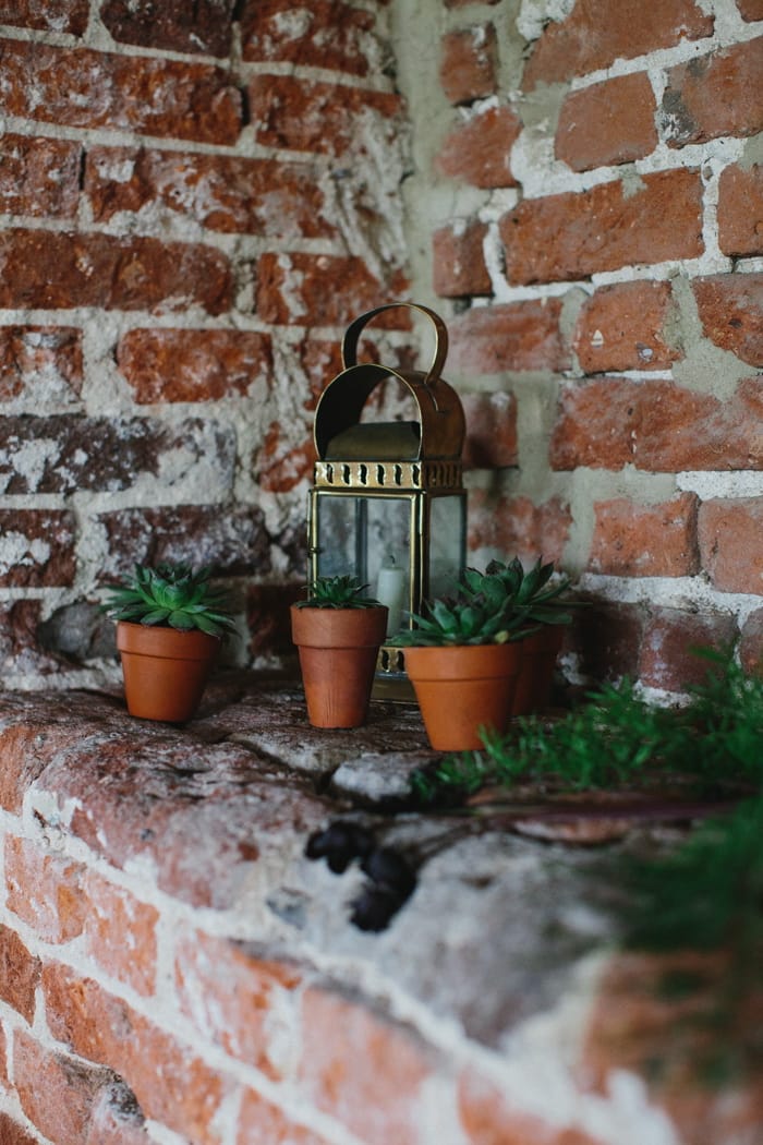 Image by <a class="text-p3" href="http://www.peachandjophotography.co.uk" target="_blank">Peach & Jo Photography</a>.