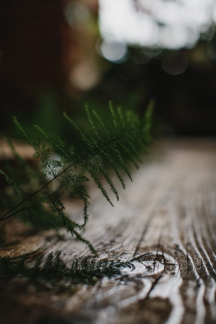 Image by <a class="text-p3" href="http://www.peachandjophotography.co.uk" target="_blank">Peach & Jo Photography</a>.