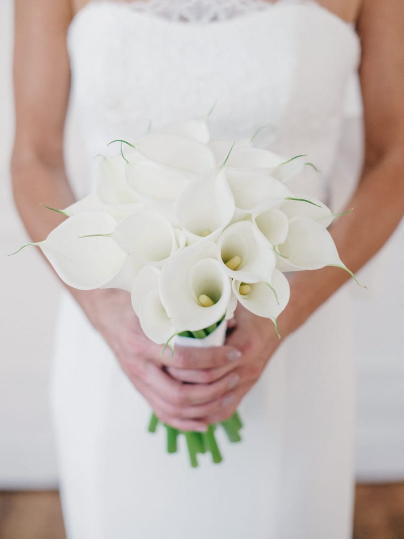 Image by <a class="text-p3" href="http://www.hannahduffy.com" target="_blank">Hannah Duffy Photography</a>.