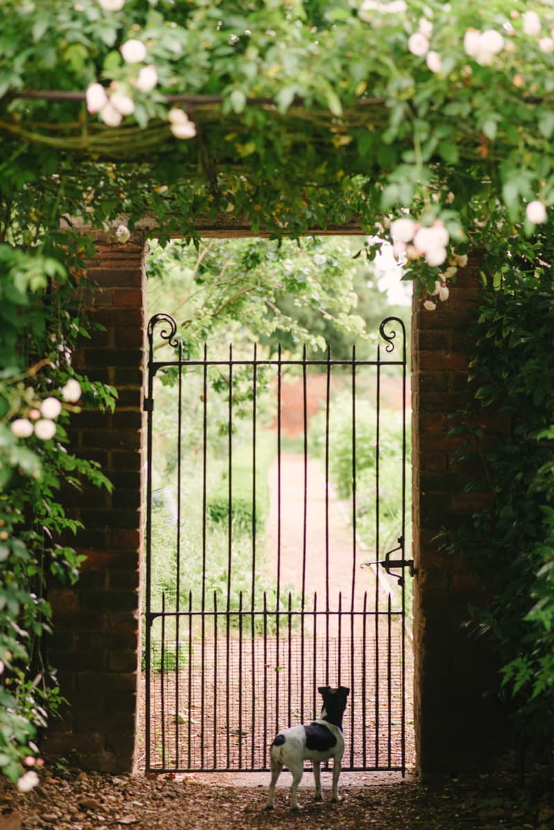 Image by <a class="text-p3" href="http://www.hannahduffy.com" target="_blank">Hannah Duffy Photography</a>.