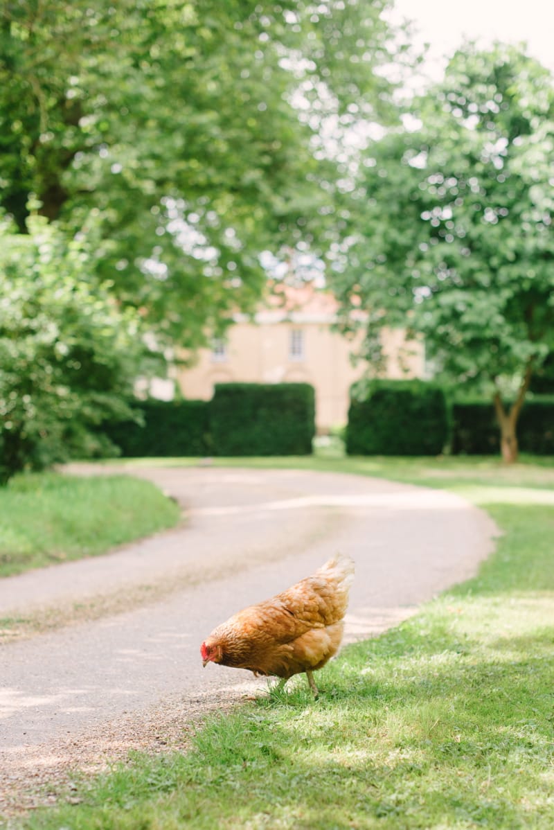 Image by <a class="text-p3" href="http://www.hannahduffy.com" target="_blank">Hannah Duffy Photography</a>.