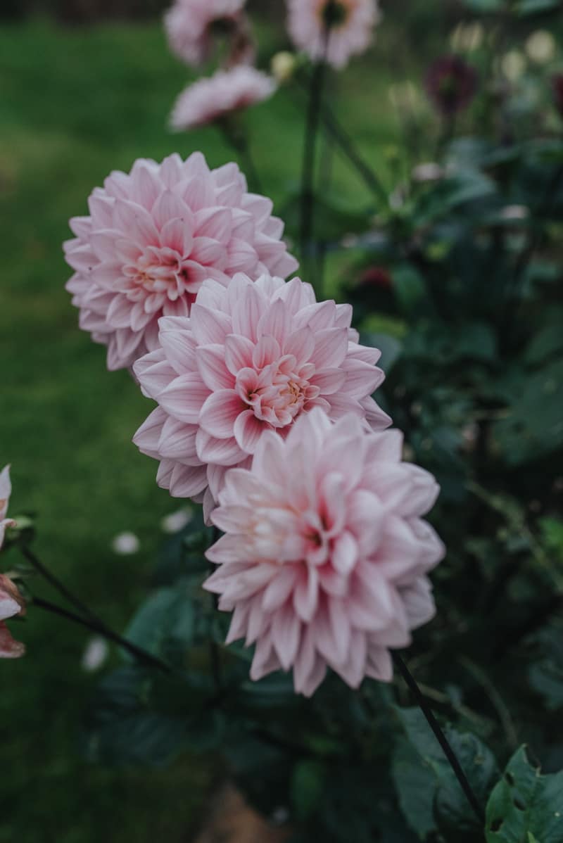 Image by <a class="text-p3" href="http://www.clarekinchinphotography.co.uk" target="_blank">Clare Kinchin Photography</a>.