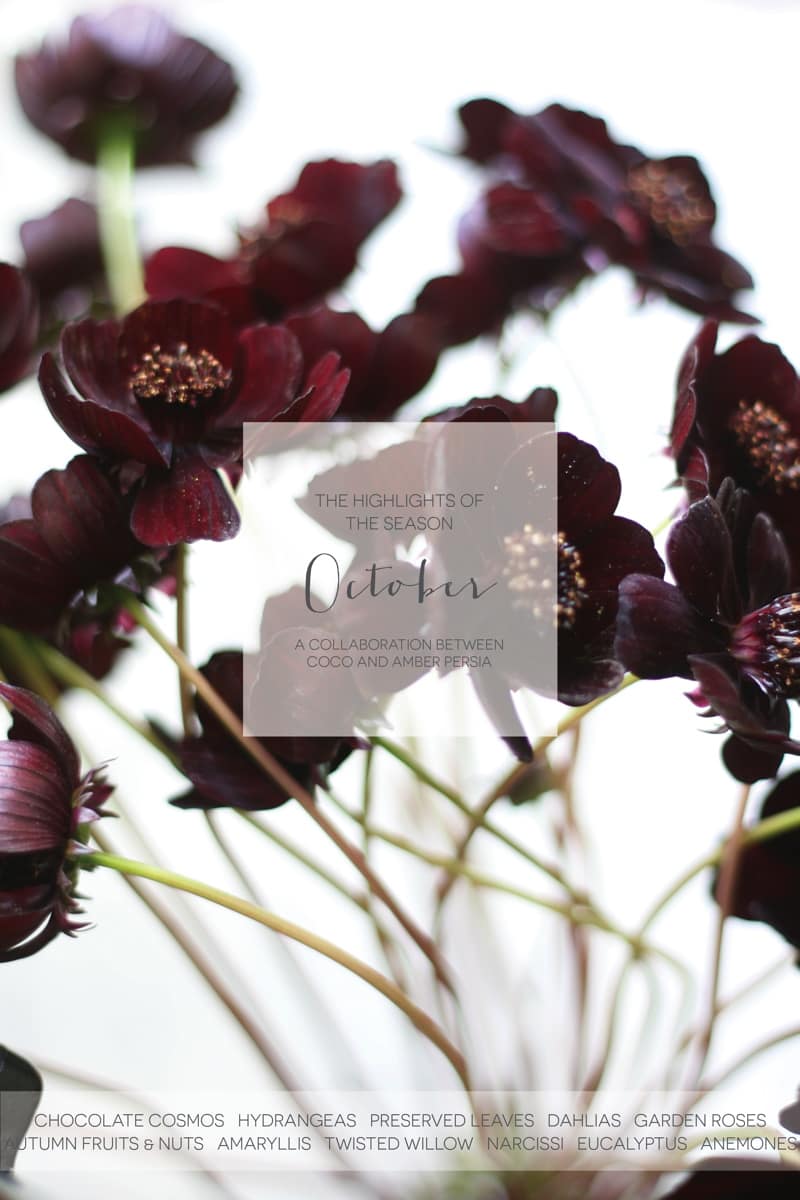 coco-wedding-venues-wedding-flower-inspiration-october-floral-highlights-by-amber-persia-flowers-and-events