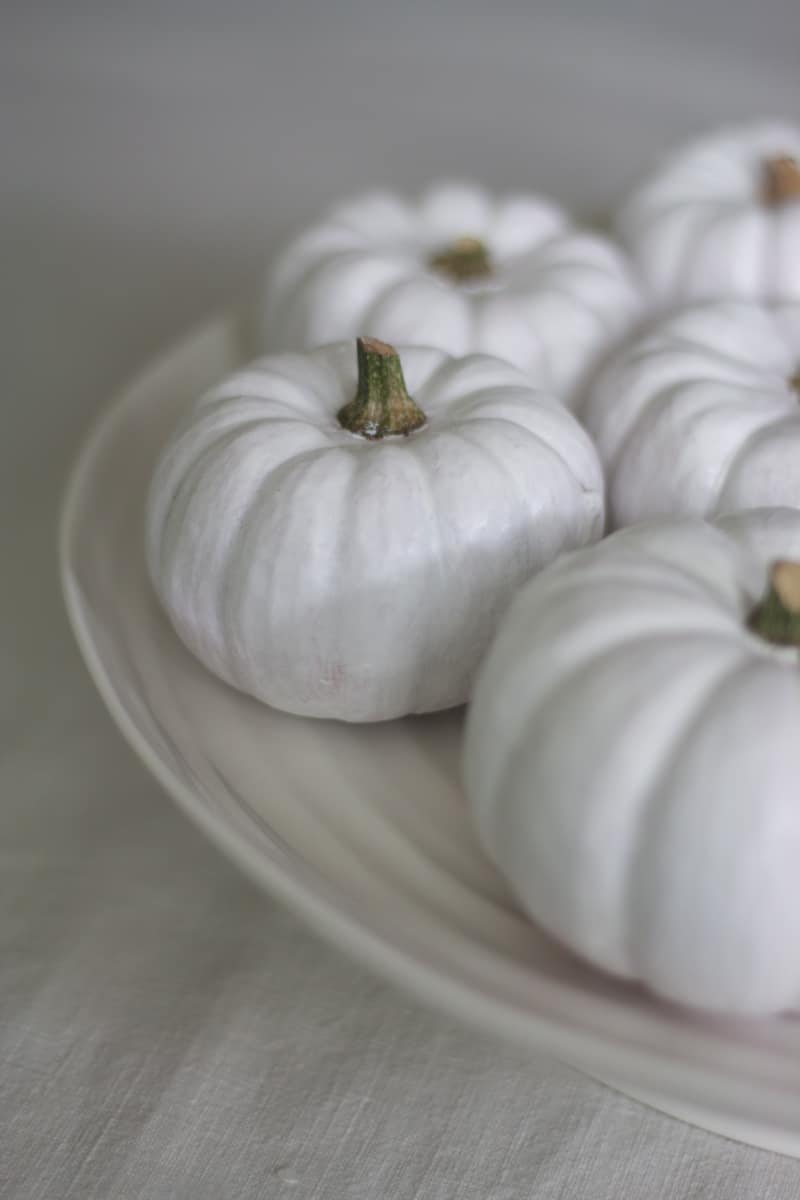 white-alternative-halloween-inspiration-amber-persia-for-coco-wedding-venues-03