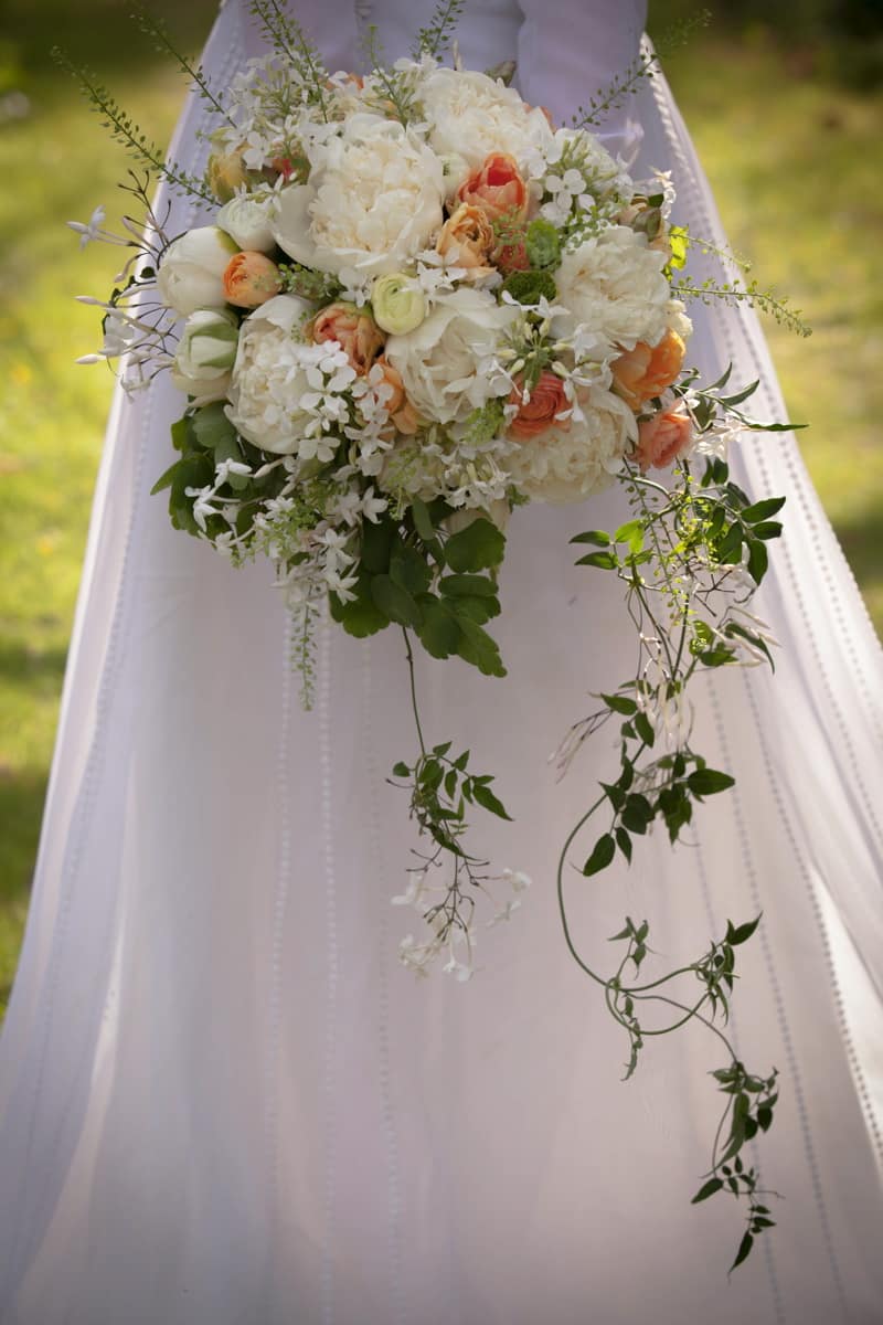 Image by <a class="text-p3" href="http://www.frecklephotography.co.uk" target="_blank">Freckle Photography</a>.