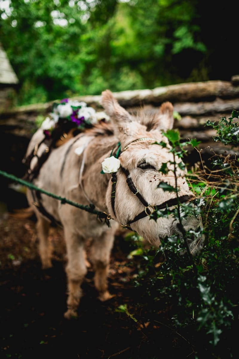 Image by <a class="text-p3" href="http://barneywalters.com" target="_blank">Barney Walters Photography</a>.