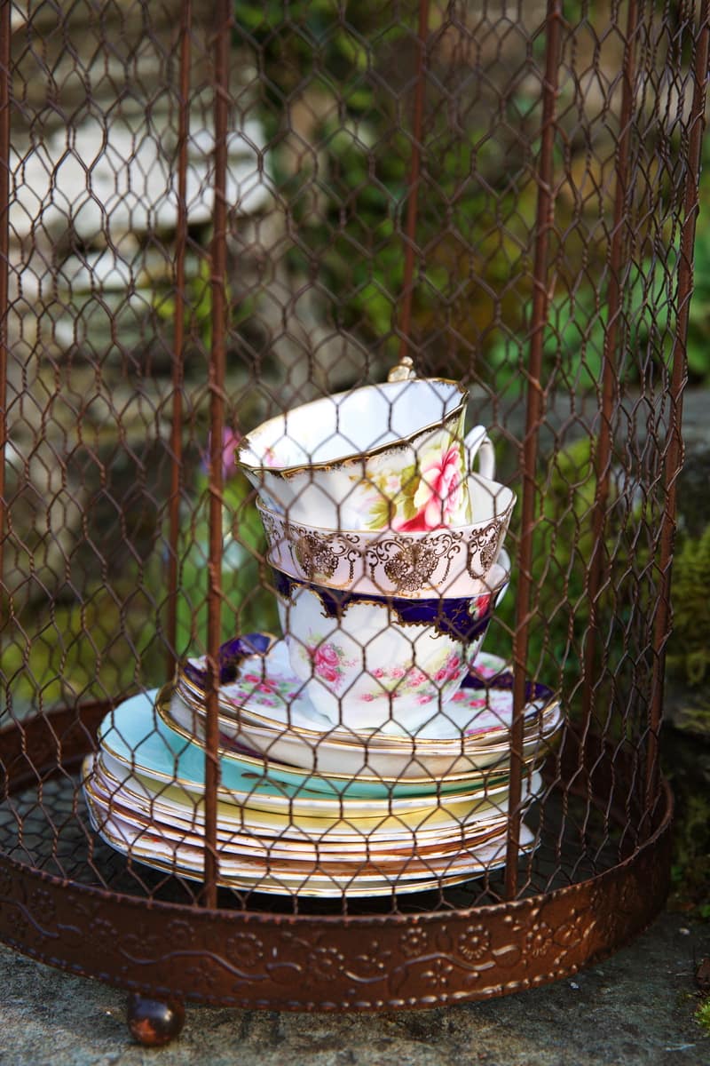 Image by <a class="text-p3" href="http://www.emmajaneleephotography.co.uk" target="_blank">Emma Jane Lee Photography</a>.