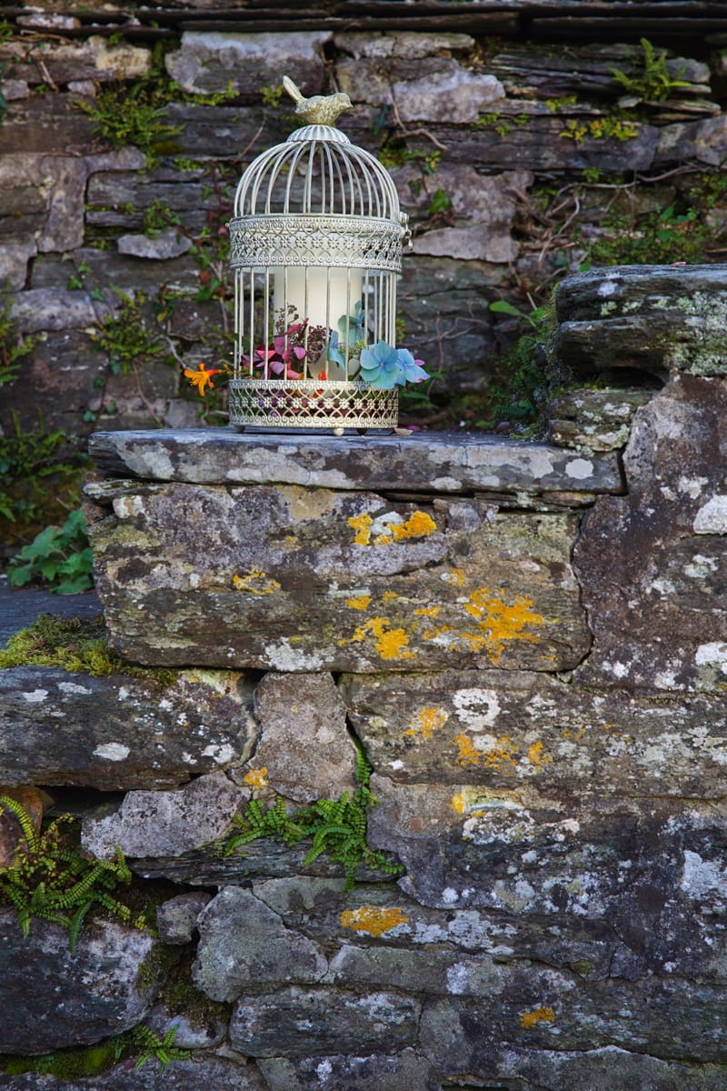 Image by <a class="text-p3" href="http://www.emmajaneleephotography.co.uk" target="_blank">Emma Jane Lee Photography</a>.