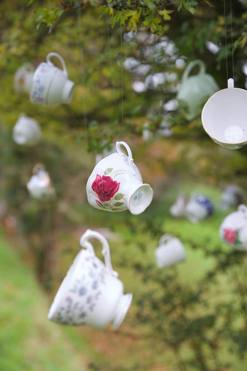 Image by <a class="text-p3" href="http://www.emmajaneleephotography.co.uk" target="_blank">Emma Jane Lee Photography</a>.