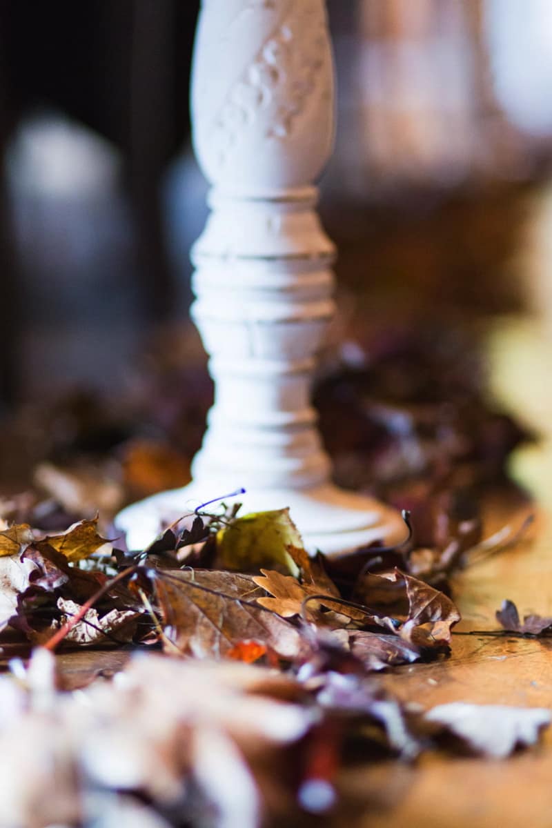 Image by <a class="text-p3" href="http://www.jadeosbornephotography.com" target="_blank">Jade Osborne Photography</a>.