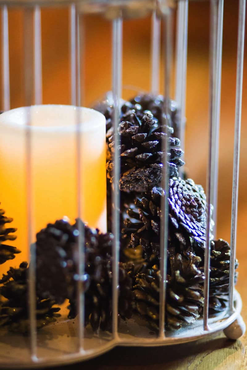 Image by <a class="text-p3" href="http://www.jadeosbornephotography.com" target="_blank">Jade Osborne Photography</a>.