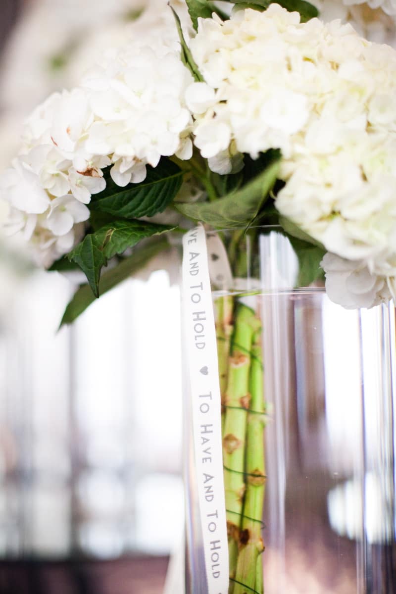 Image by <a class="text-p3" href="http://cecelinaphotography.com" target="_blank">Cecelina Photography</a>.