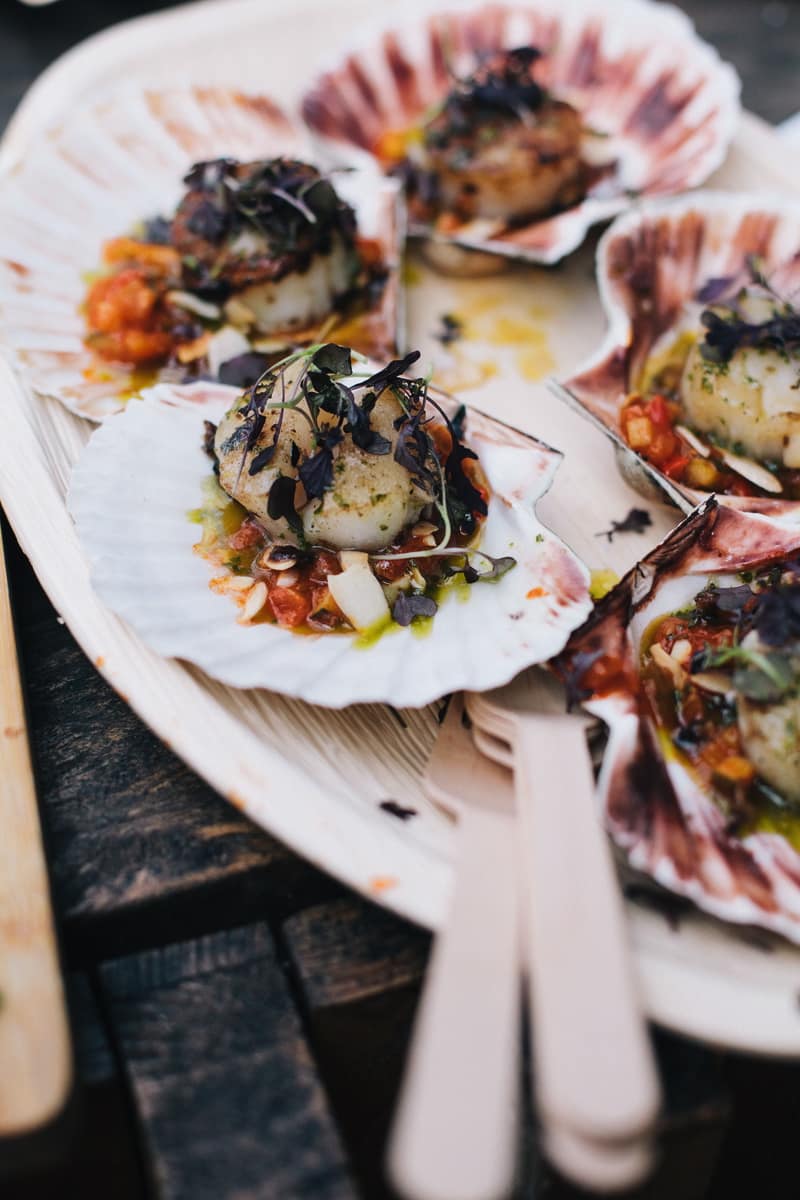 Image by <a class="text-p3" href="http://www.robbinsphotographic.com" target="_blank">Robbins Photographic</a>.