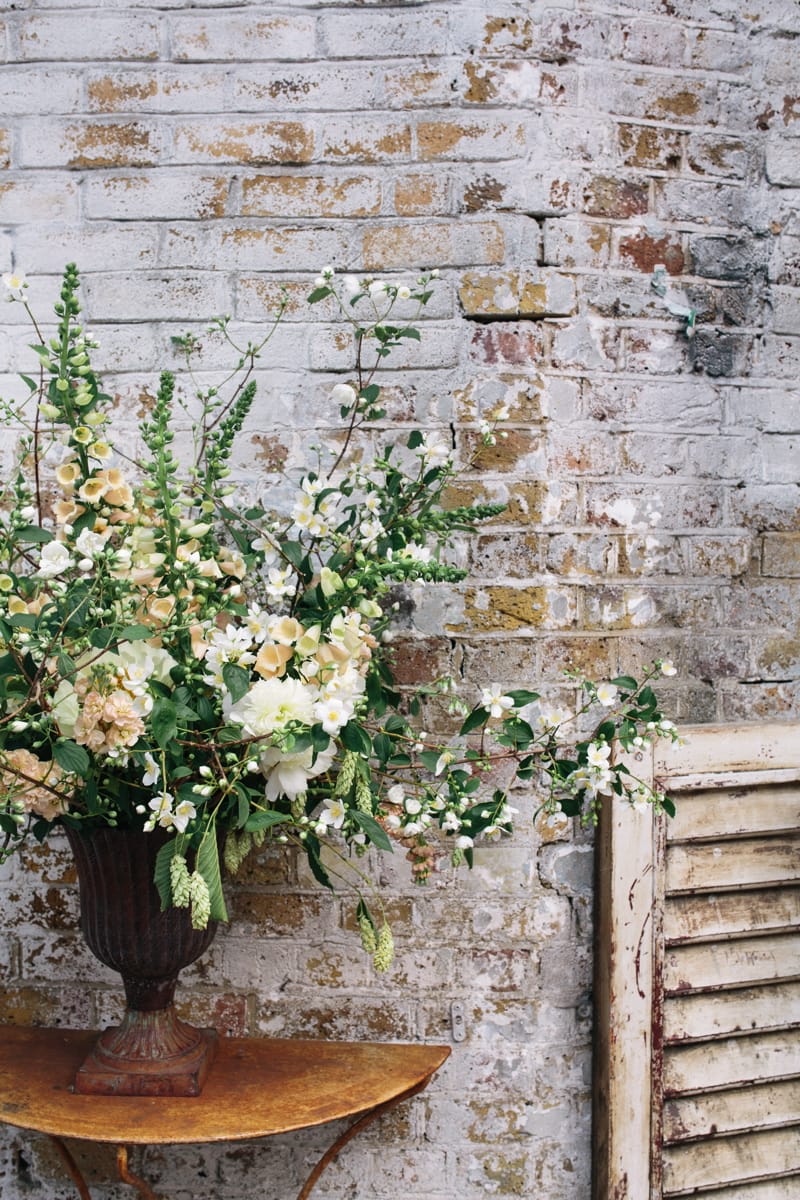 Image by <a class="text-p3" href="http://www.robbinsphotographic.com" target="_blank">Robbins Photographic</a>.