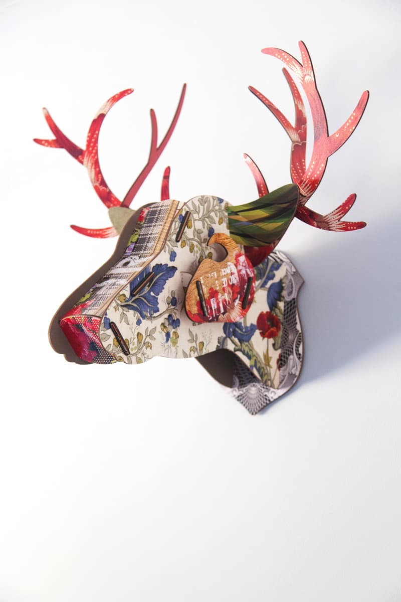 Image by <a class="text-p3" href="http://www.sarahhannam.com" target="_blank">Sarah Hannam Photography</a>.