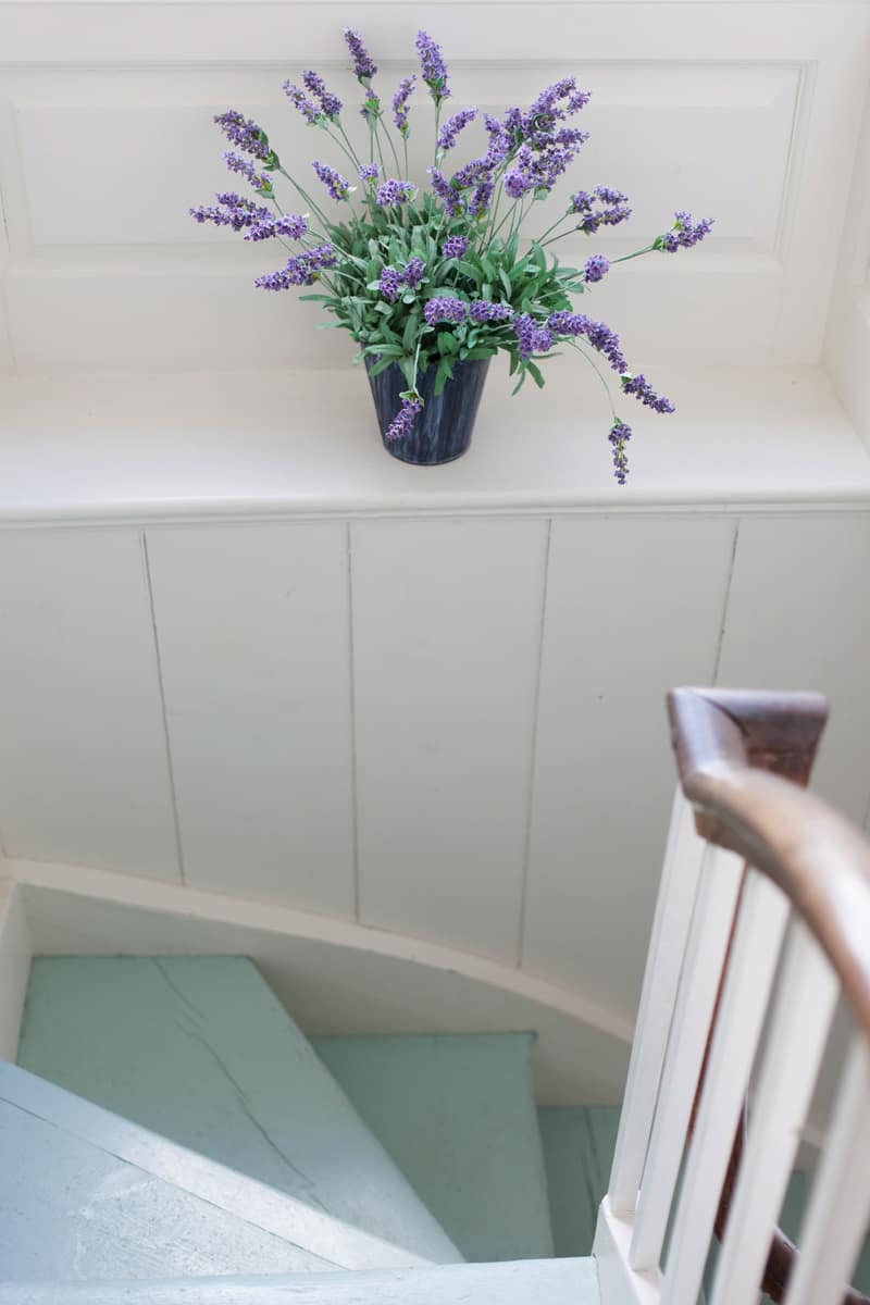 Image by <a class="text-p3" href="http://www.sarahhannam.com" target="_blank">Sarah Hannam Photography</a>.