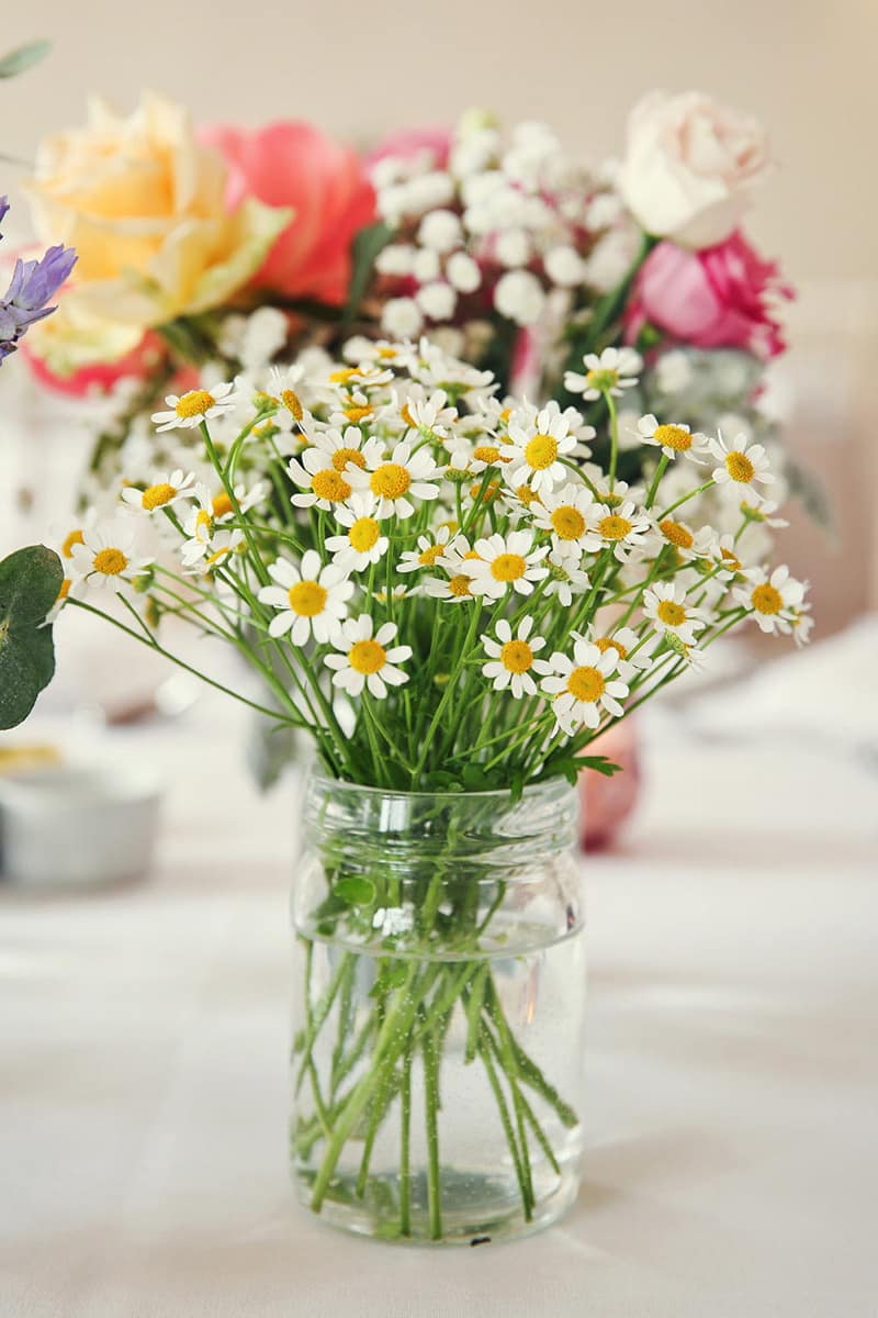 Image by <a class="text-p3" href="http://www.vla-photography.co.uk" target="_blank">VLA Photography</a>.