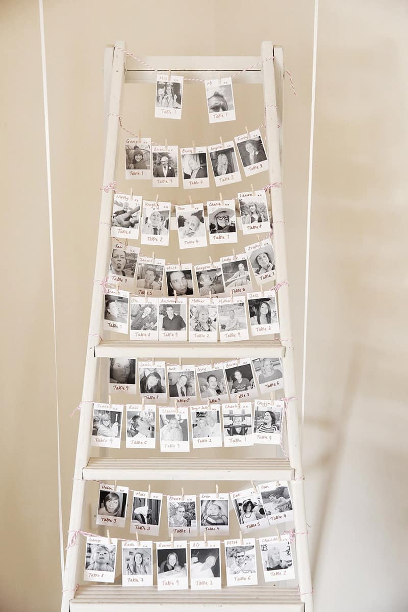 Image by <a class="text-p3" href="http://www.vla-photography.co.uk" target="_blank">VLA Photography</a>.