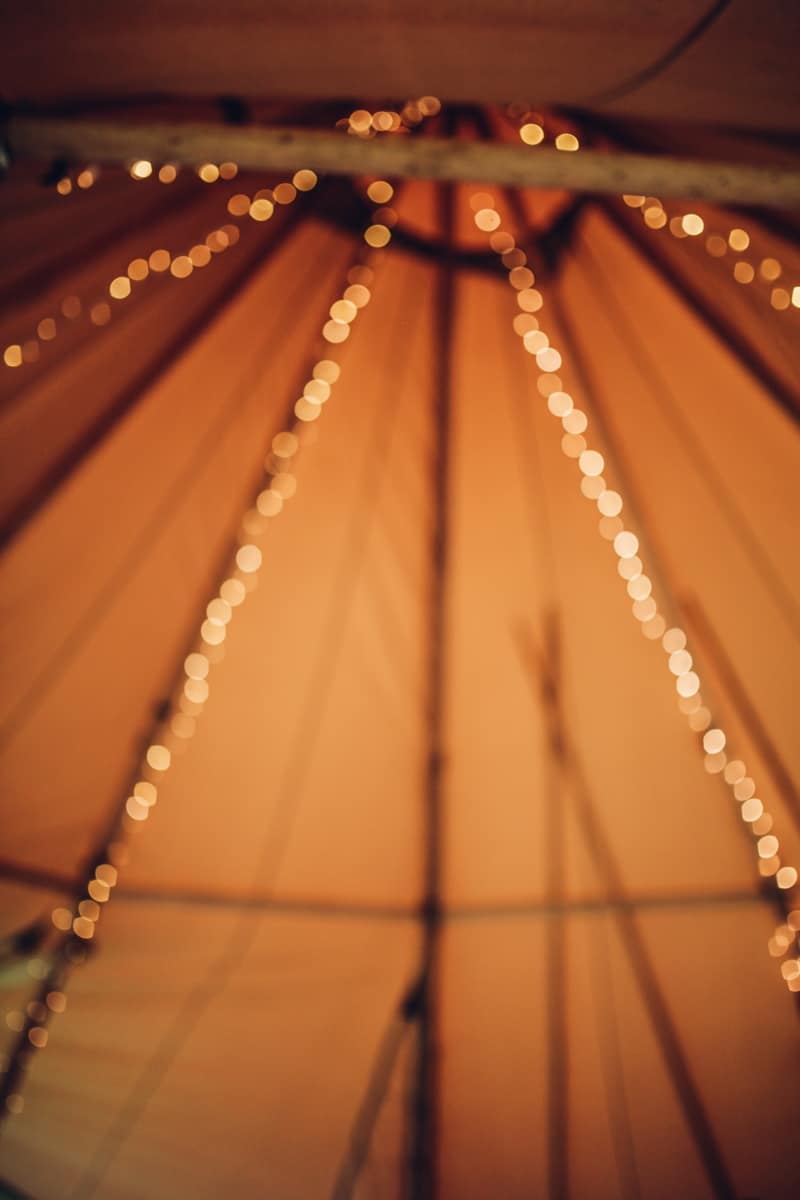 Image by <a class="text-p3" href="http://cargocollective.com/darinastoda" target="_blank">DS Photography</a>.