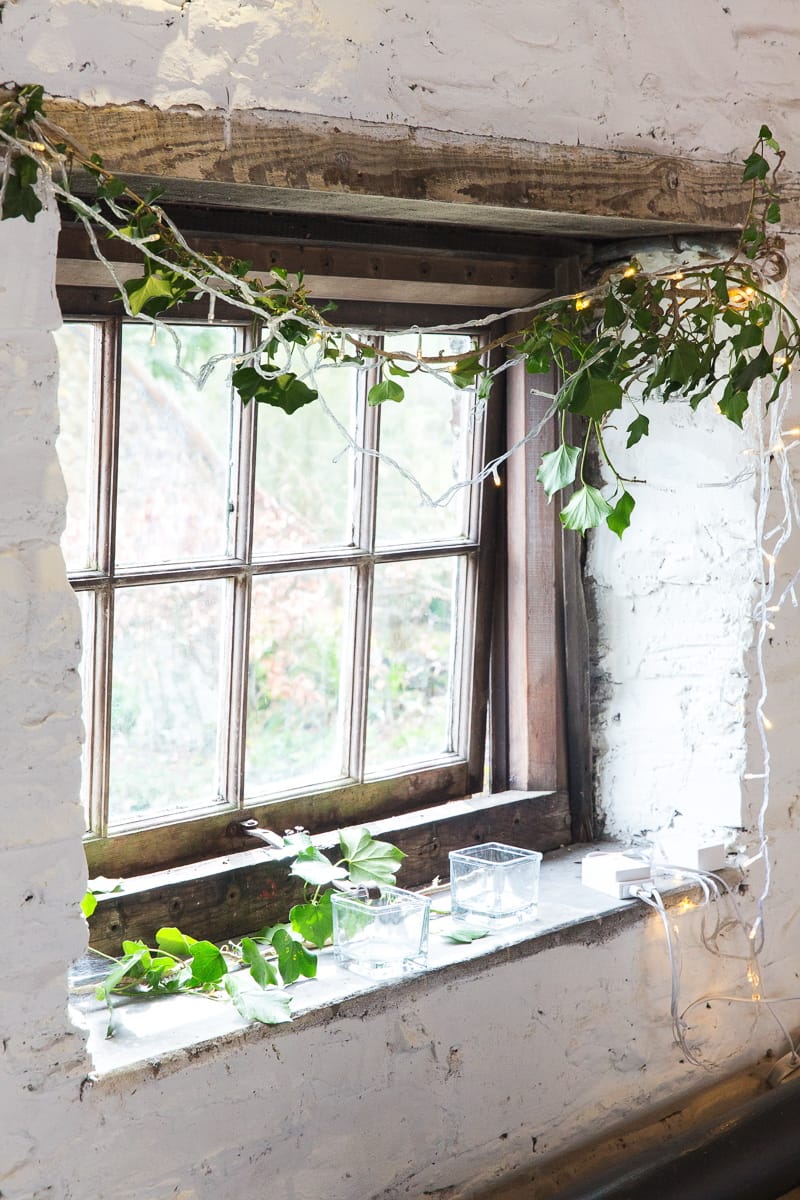 Image by <a class="text-p3" href="http://www.mckenzie-brown.com" target="_blank">McKenzie Brown</a>.