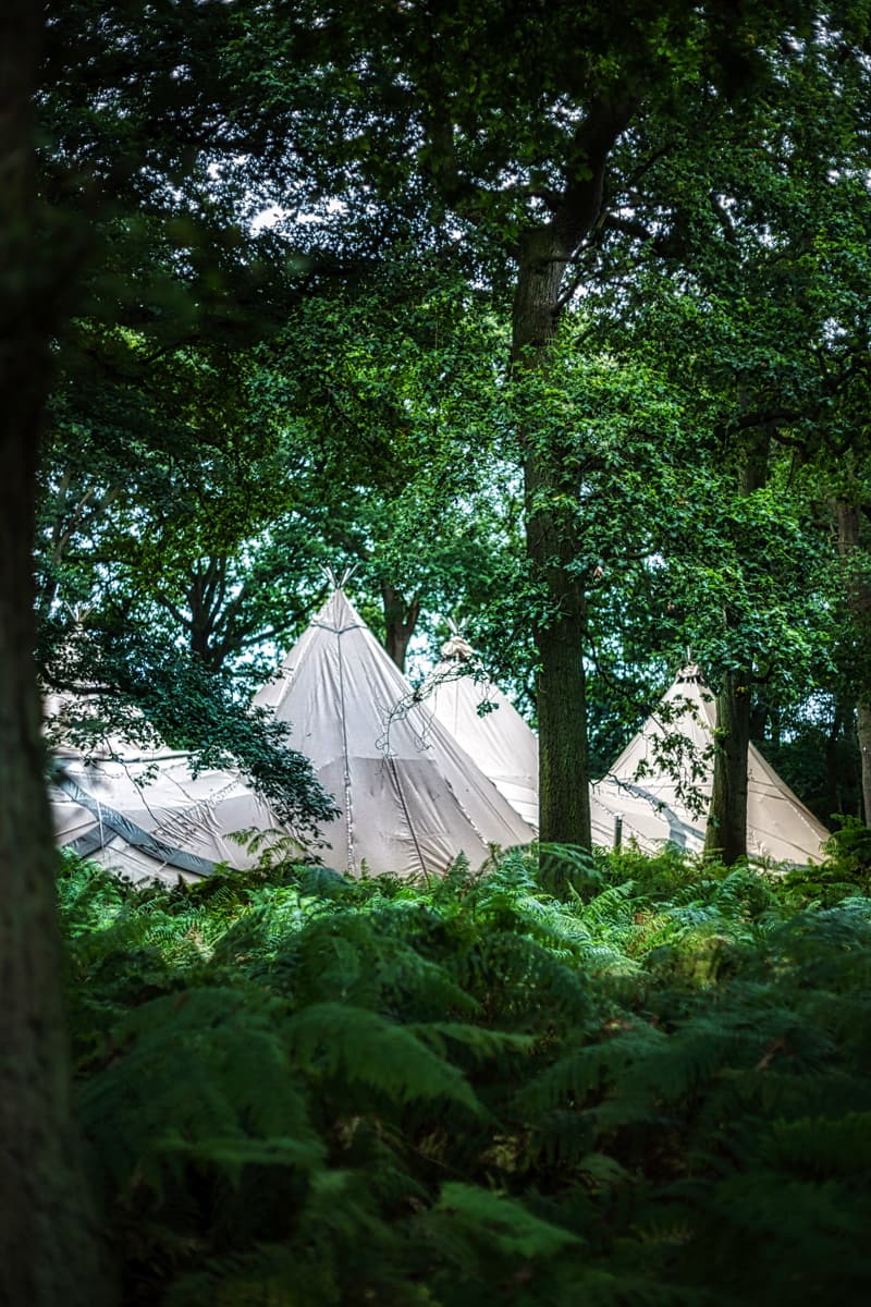 Image by <a class="text-p3" href="http://www.karenmasseyphotography.co.uk" target="_blank">Karen Massey Photography</a>.