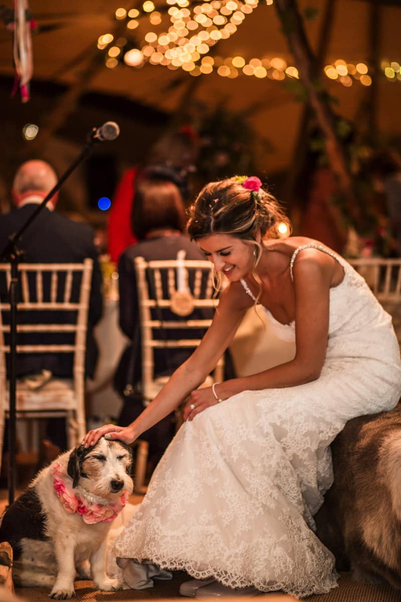 Image by <a class="text-p3" href="http://www.karenmasseyphotography.co.uk" target="_blank">Karen Massey Photography</a>.