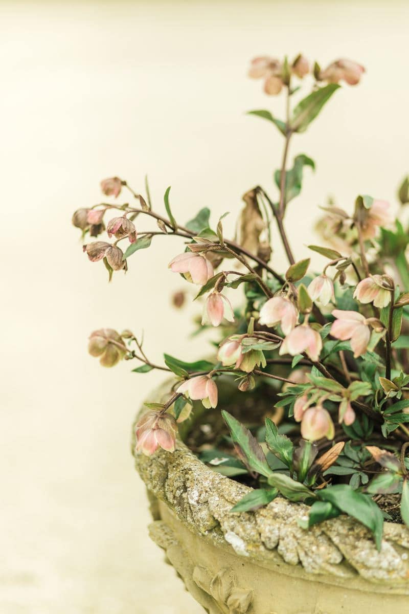 Image by <a class="text-p3" href="http://www.gyangurung.com" target="_blank">Gyan Gurung Photography</a>.