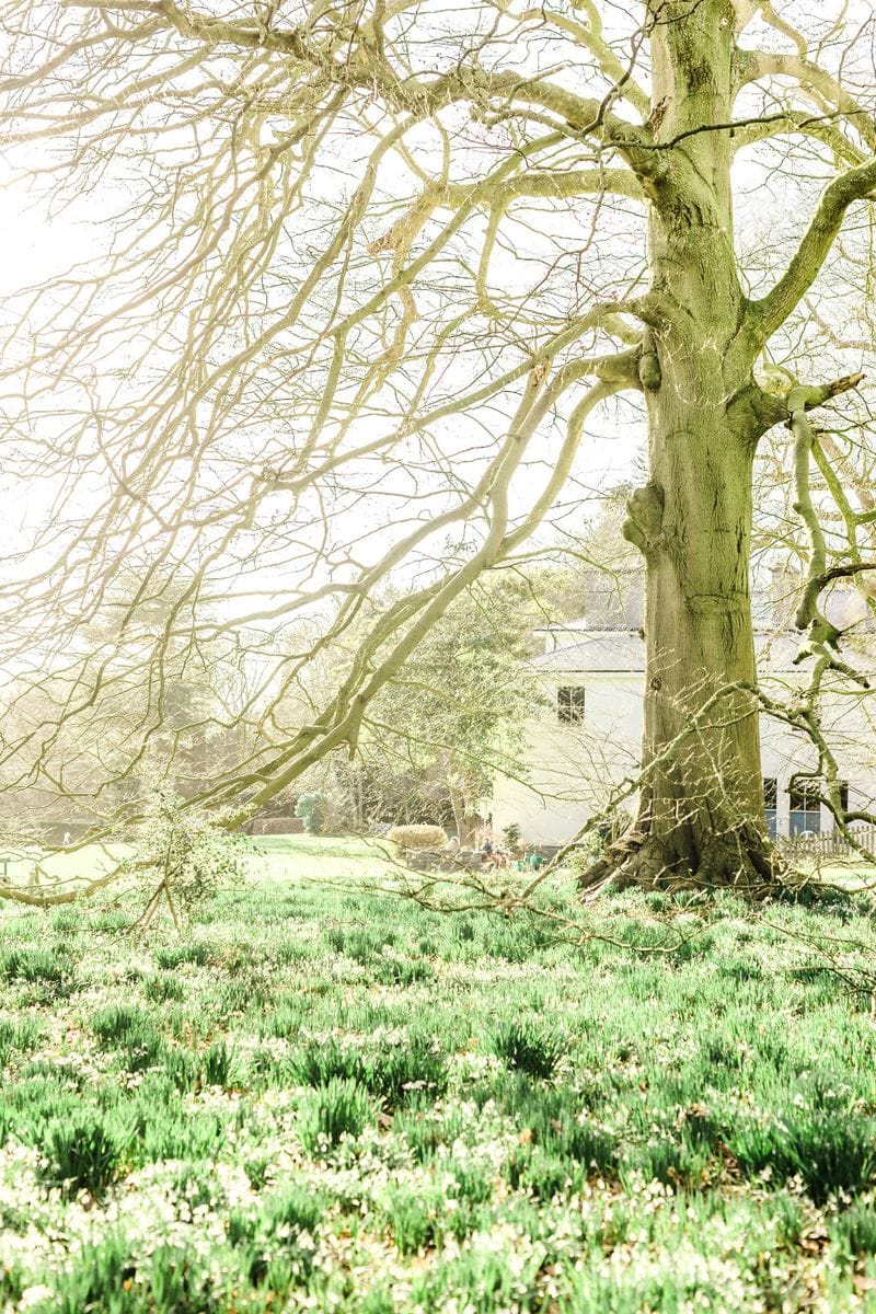 Image by <a class="text-p3" href="http://www.gyangurung.com" target="_blank">Gyan Gurung Photography</a>.