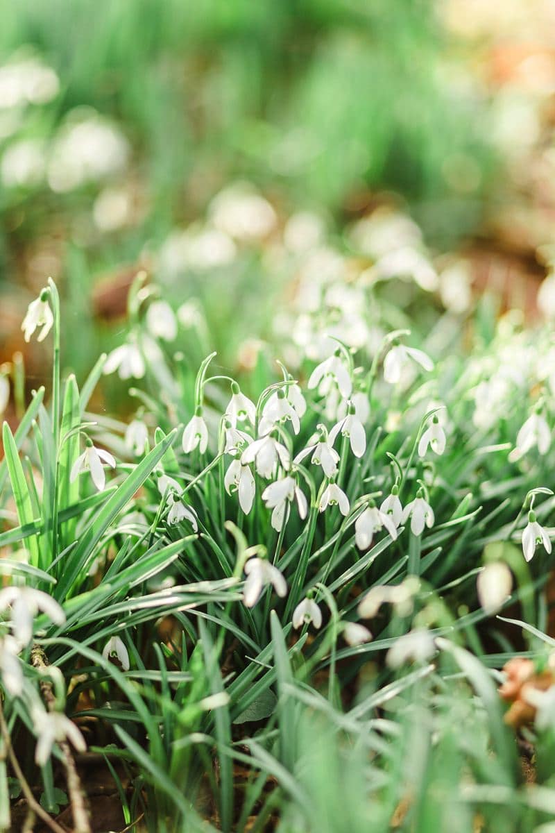 Image by <a class="text-p3" href="http://www.gyangurung.com" target="_blank">Gyan Gurung Photography</a>.