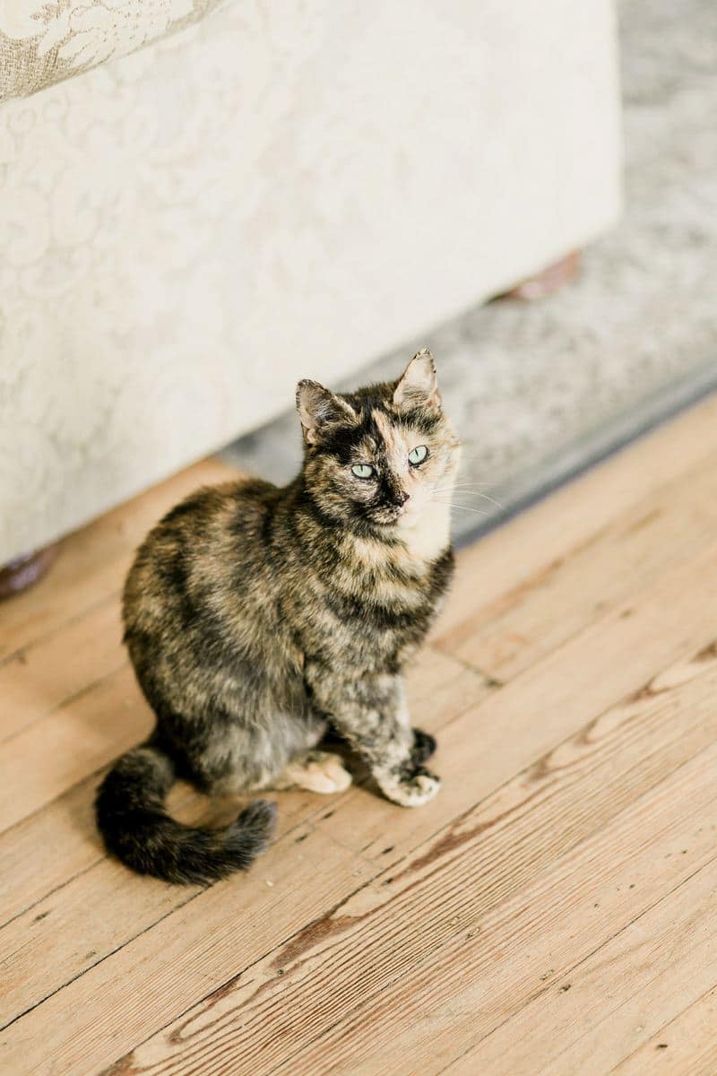 Image by <a class="text-p3" href="http://www.gyangurung.com" target="_blank">Gyan Gurung Photography</a>.