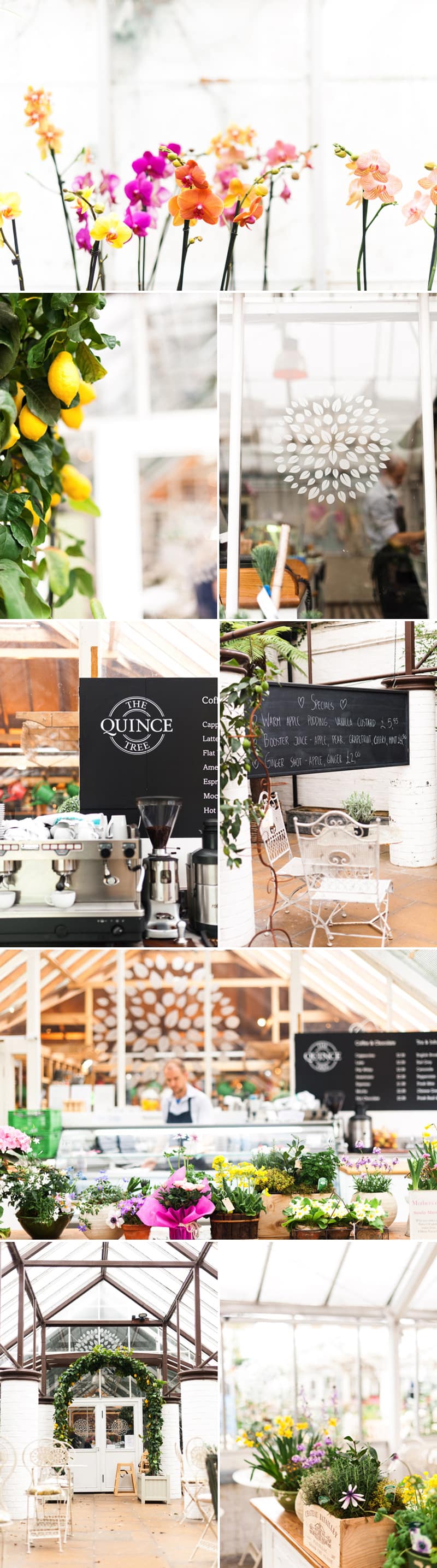 coco wedding venues-anushe-low-photography-clifton-nurseries-london wedding venue.