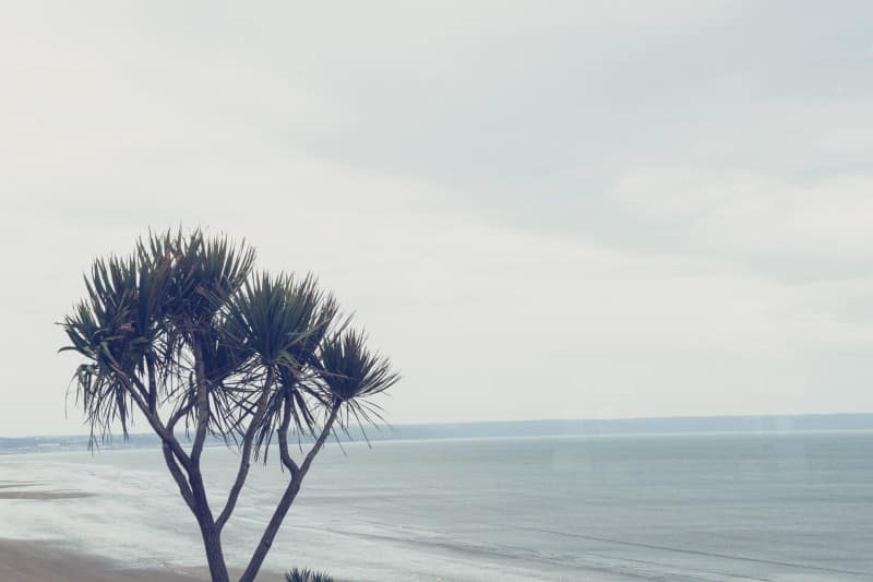 Image by Claire KinchIn Photography courtesy of <a class="text-p3" href="http://www.wedmagazine.co.uk" target="_blank">WED MAGAZINE</a>.