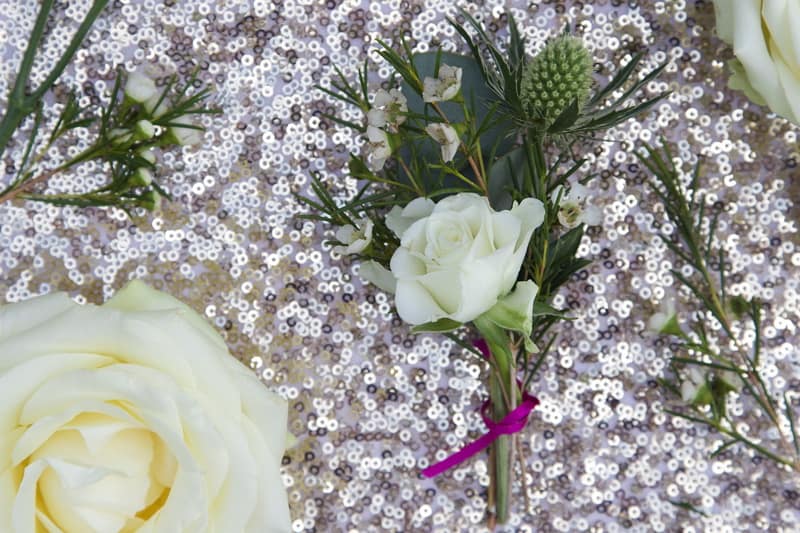 Image by <a class="text-p3" href="http://capturebylucy.com" target="_blank">Capture by Lucy</a>.