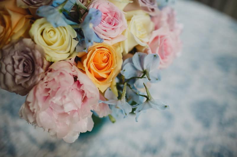 Image by <a class="text-p3" href="http://www.enekastewart.com" target="_blank">Eneka Stewart Photography</a>.